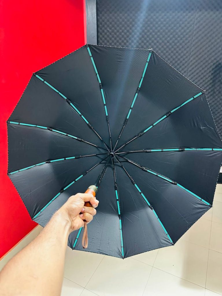 Premium 12-Ribs Automatic Open/Close Wood Handle Umbrella