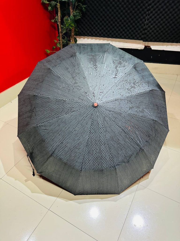 Premium 12-Ribs Automatic Open/Close Wood Handle Umbrella